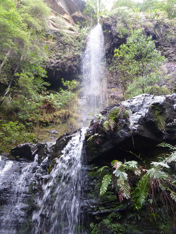 Fairy Bower Falls, Morton National Park near Bundanoon NSW
